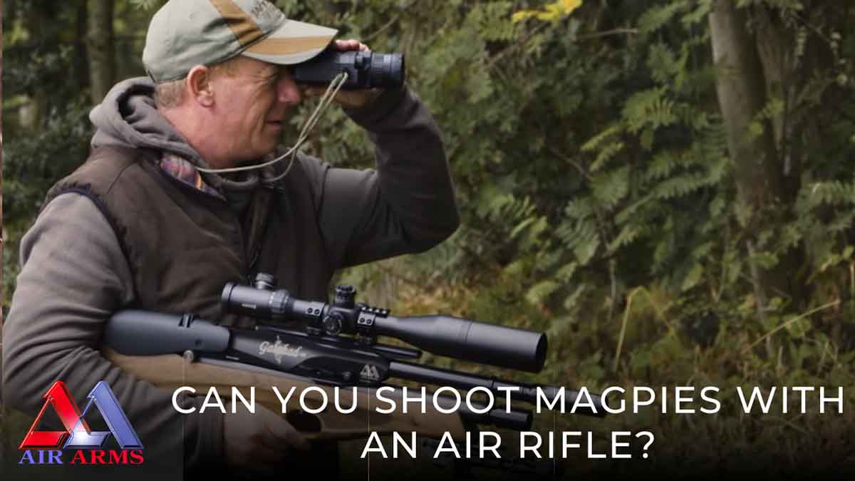 Can you shoot magpies with an air rifle?